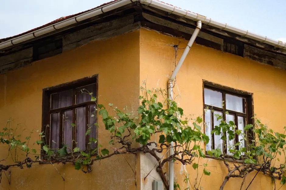 Rustic yellow house featuring two wooden windows and climbing vines under a blue sky.